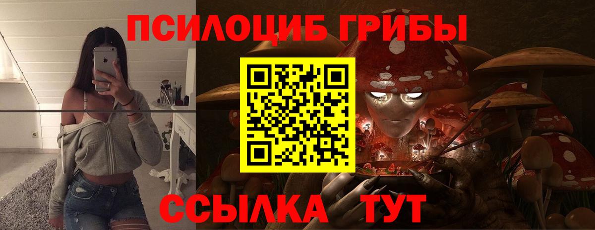 Псилоцибиновые грибы MAGIC MUSHROOMS Киров