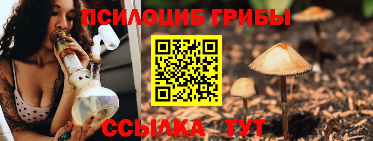 Киров  Галлюциногенные грибы Cubensis  Вход с VPN 